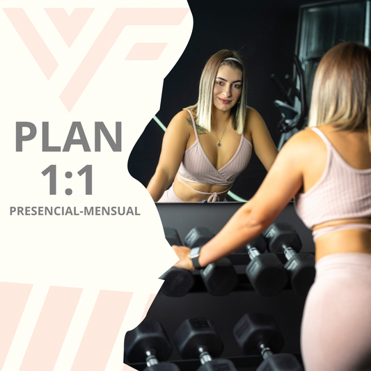 PLANES 1:1.
